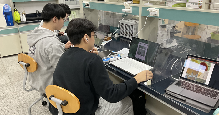 선행연구 논문 분석 작업